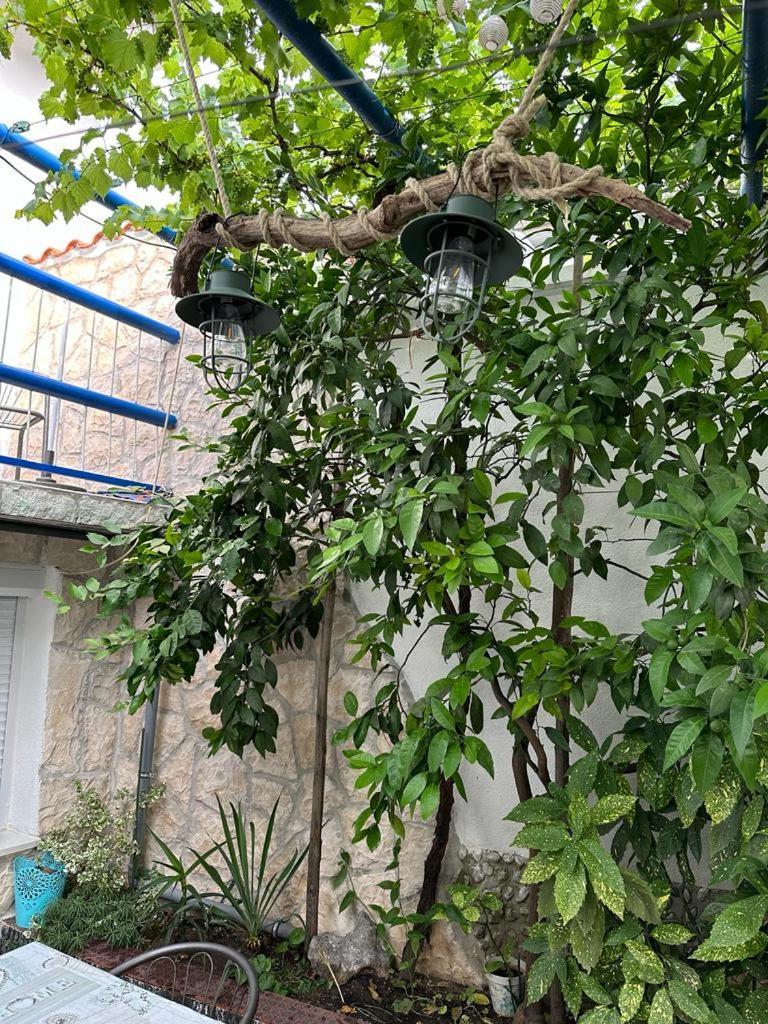 Vila Katica Bribir  Εξωτερικό φωτογραφία